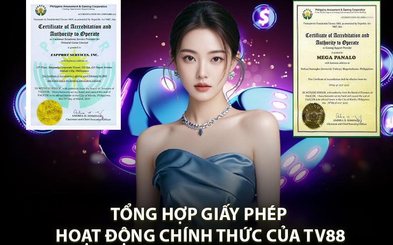 Tổng hợp giấy phép hoạt động chính thức mà TV88 sở hữu